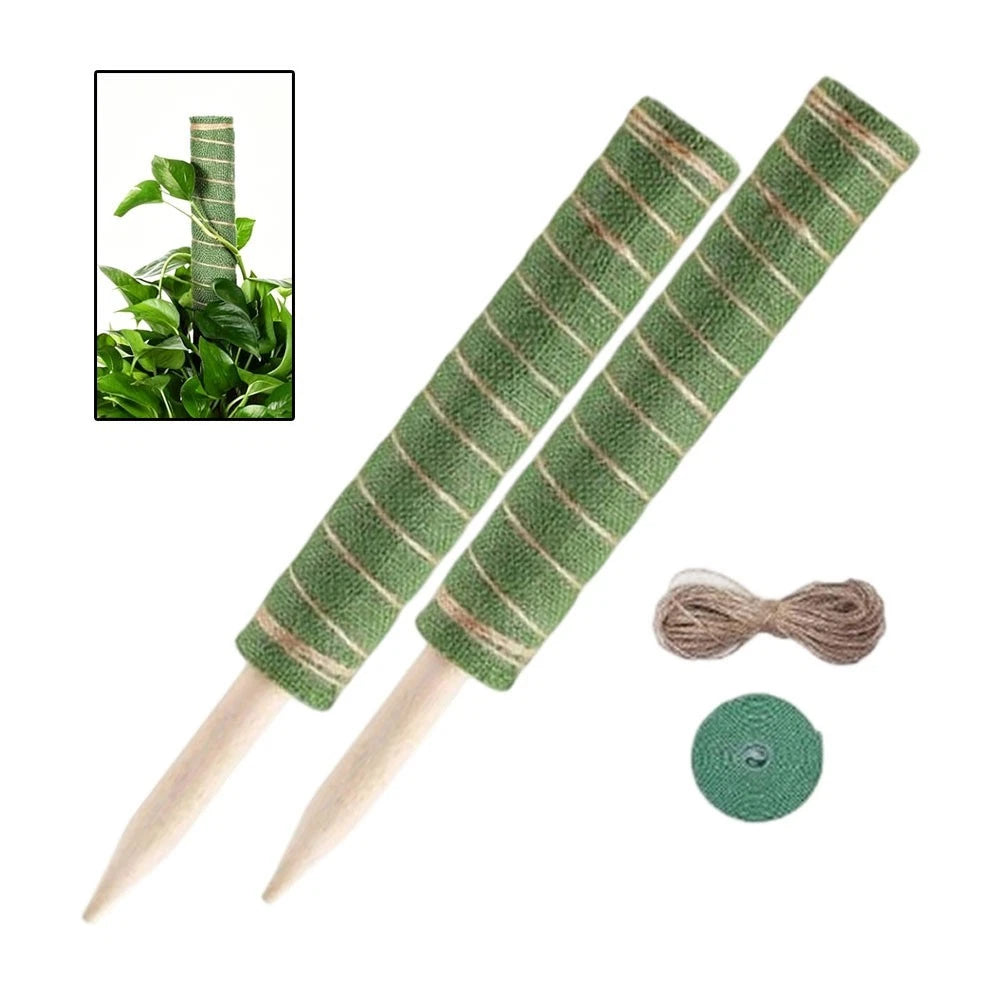 Natural Fiber Plant Support System for Pothos Monstera English Ivy