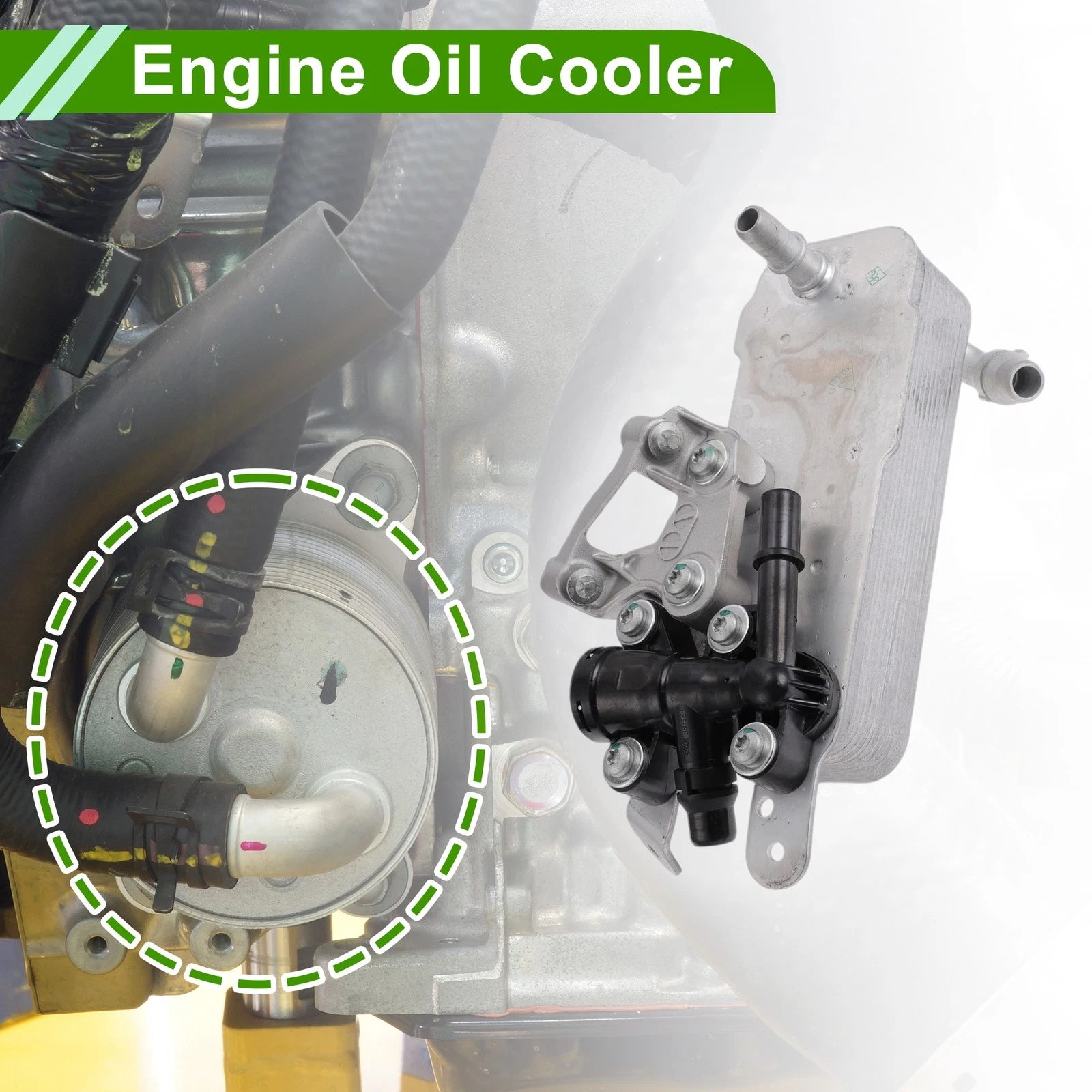 Engine Oil Cooler Replacement for BMW 230i 2.0L (2017–2021)