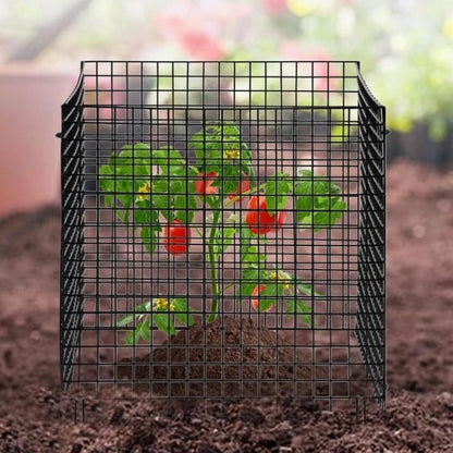 Wire Plant Protector Mesh Cage for Garden Vegetables and Shrubs