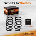 2" Front Lowering Kit for Dodge Ram 1500 (2002–2008) 2WD Performance Springs