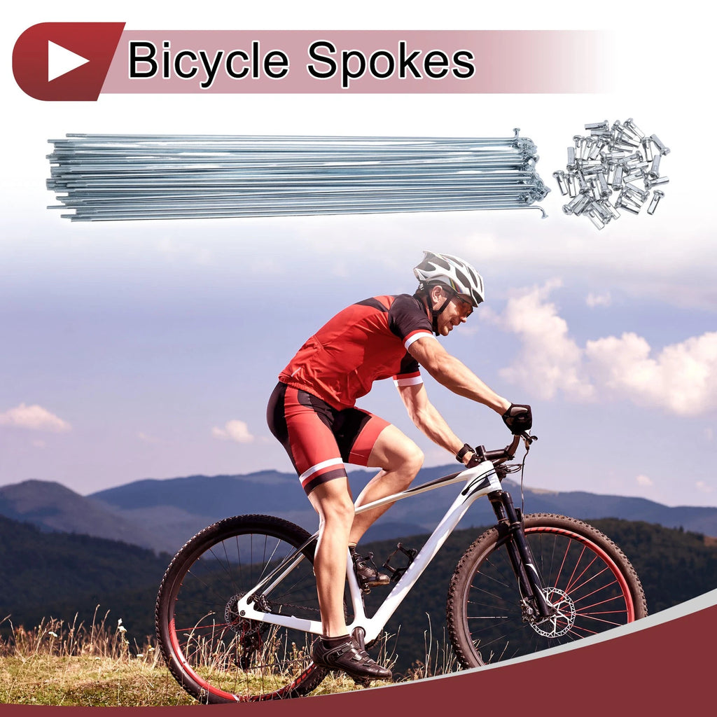 Set 14G Bicycle Spokes 245 mm Steel Galvanized for Universal (All Years)
