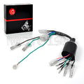 Wiring Harness Loom for Honda TRX 90 Sportrax (1993–2005)