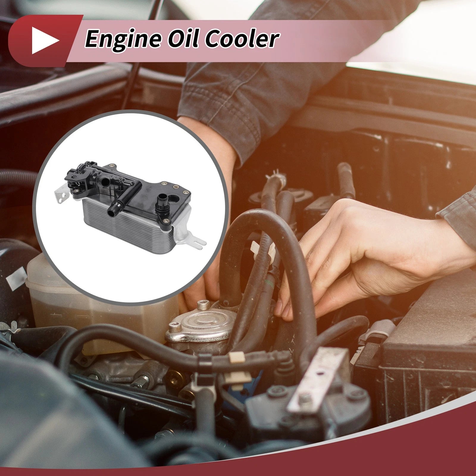 Engine Oil Cooler for BMW F01 730i N52n (2009–2012)