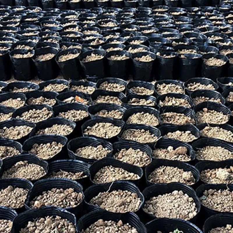 100Pcs Plastic Round Flower Pots for Gardening Supplies