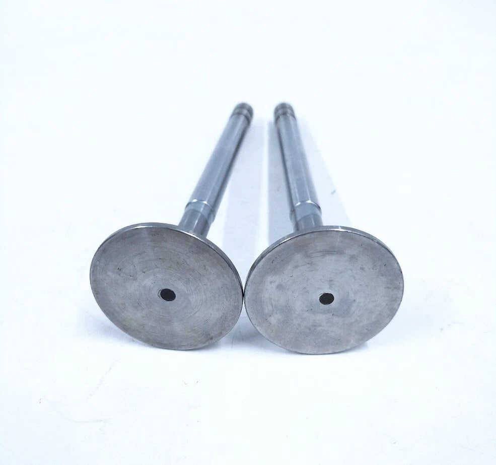 2X Engine Valve for Volvo Penta (421016)