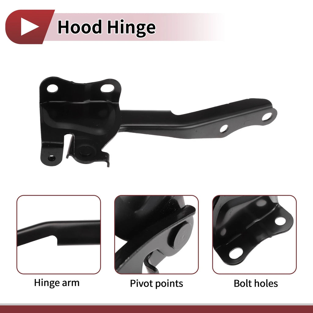 Hood Hinge for Toyota Highlander (2015) Left Side