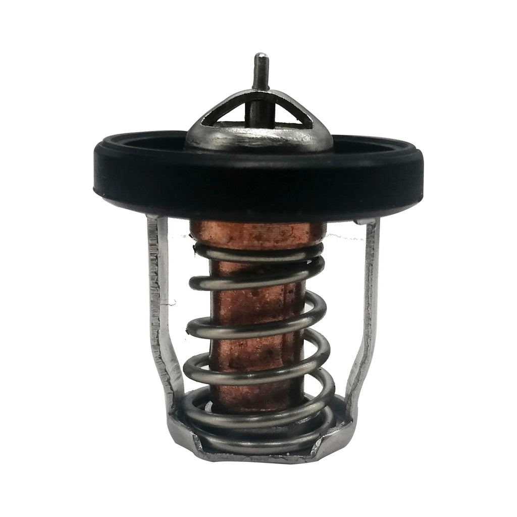 Thermostat 17670-91J01 for Suzuki Outboard Engines (50° DF 2.5 4 5 1.5 9.9 20)