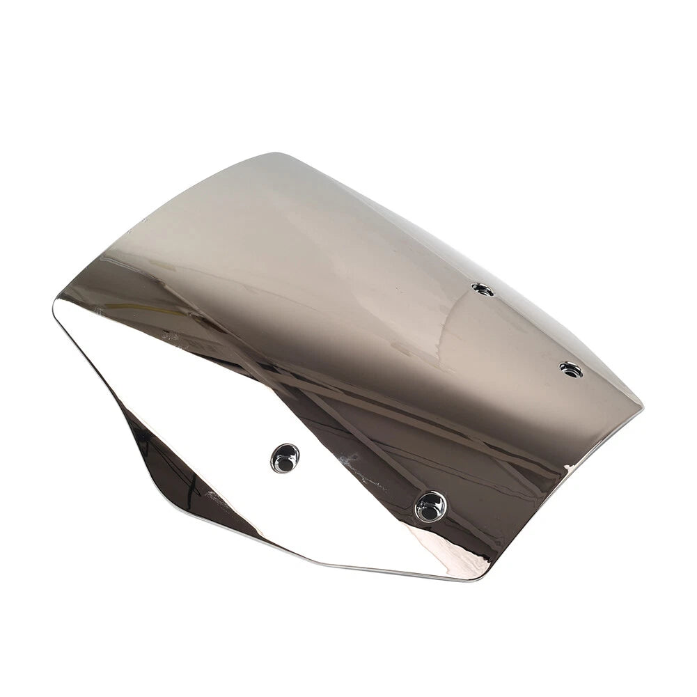 Windshield Wind Deflector for BMW R1300GS (2024)