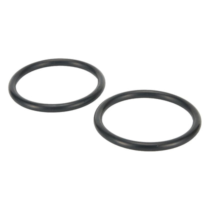 2X O Rings for Intex Swimming Pool Hose Connections