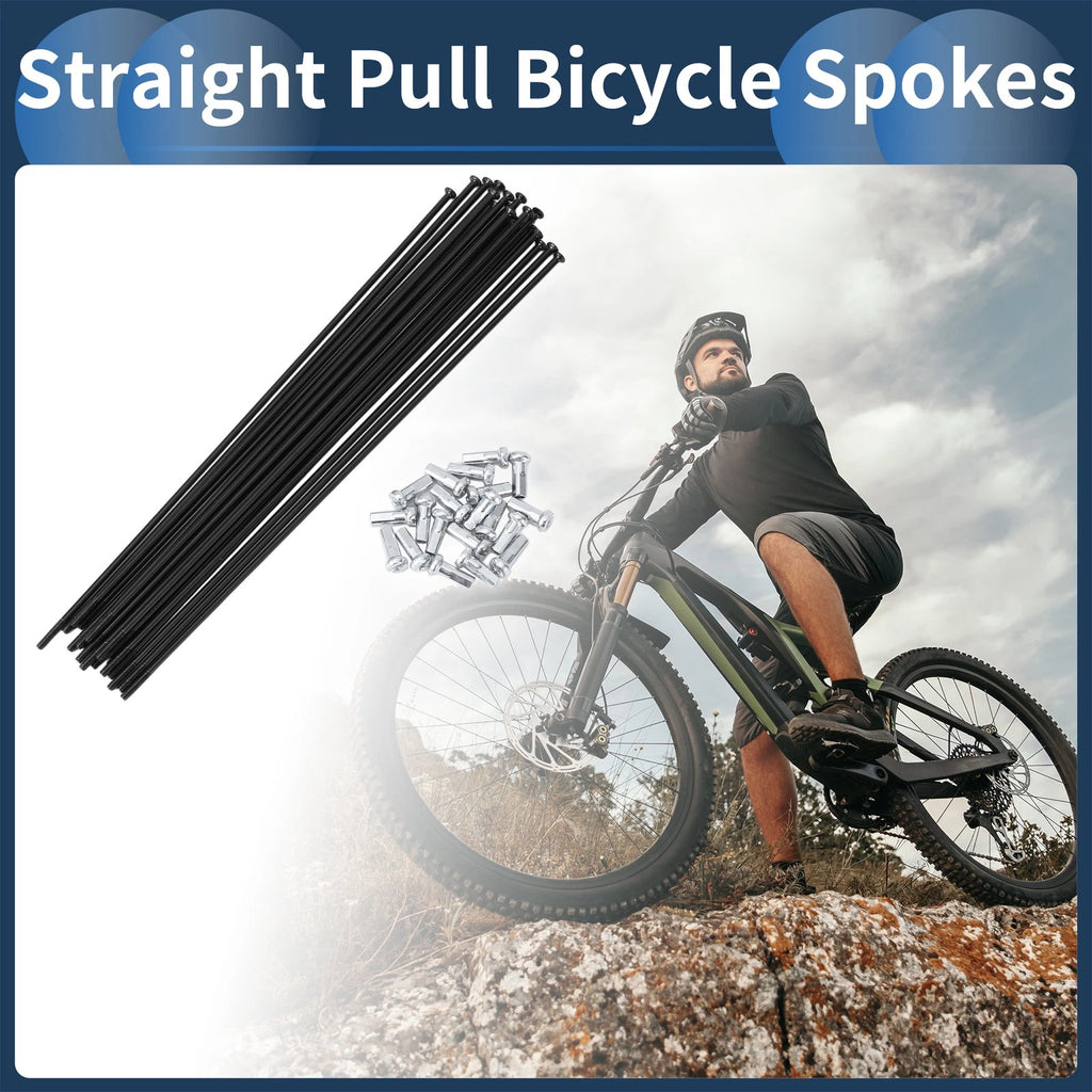 Bicycle Spokes Set 14G Straight Pull 174mm for Bike Wheel (2005–2015)