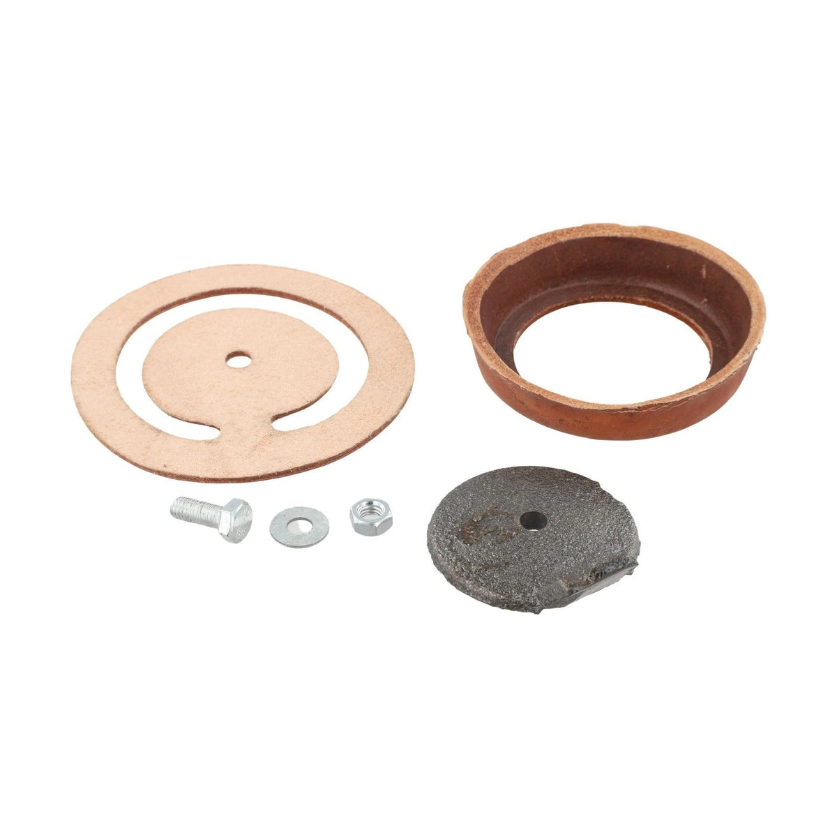 Check Valve Kit for 1160PM500 and No 2 Pumps