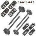 Valve Kit Replacement for Honda Foreman Rubicon 500 TRX500FGA (2004–2008)