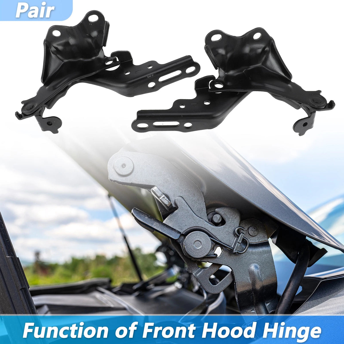 Hood Hinge Front Left Right Replacement for Lexus IS250 IS350 (2006–2015)