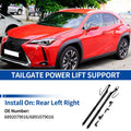 Rear Tailgate Power Lift Support for Lexus NX200t NX300h (2015–2017)
