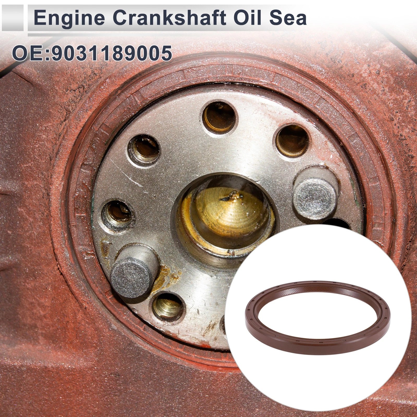 Rear Crankshaft Oil Seal Replacement for Toyota Alphard (2003–2014)