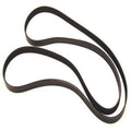 WSM SIERRA Belt for Sierra