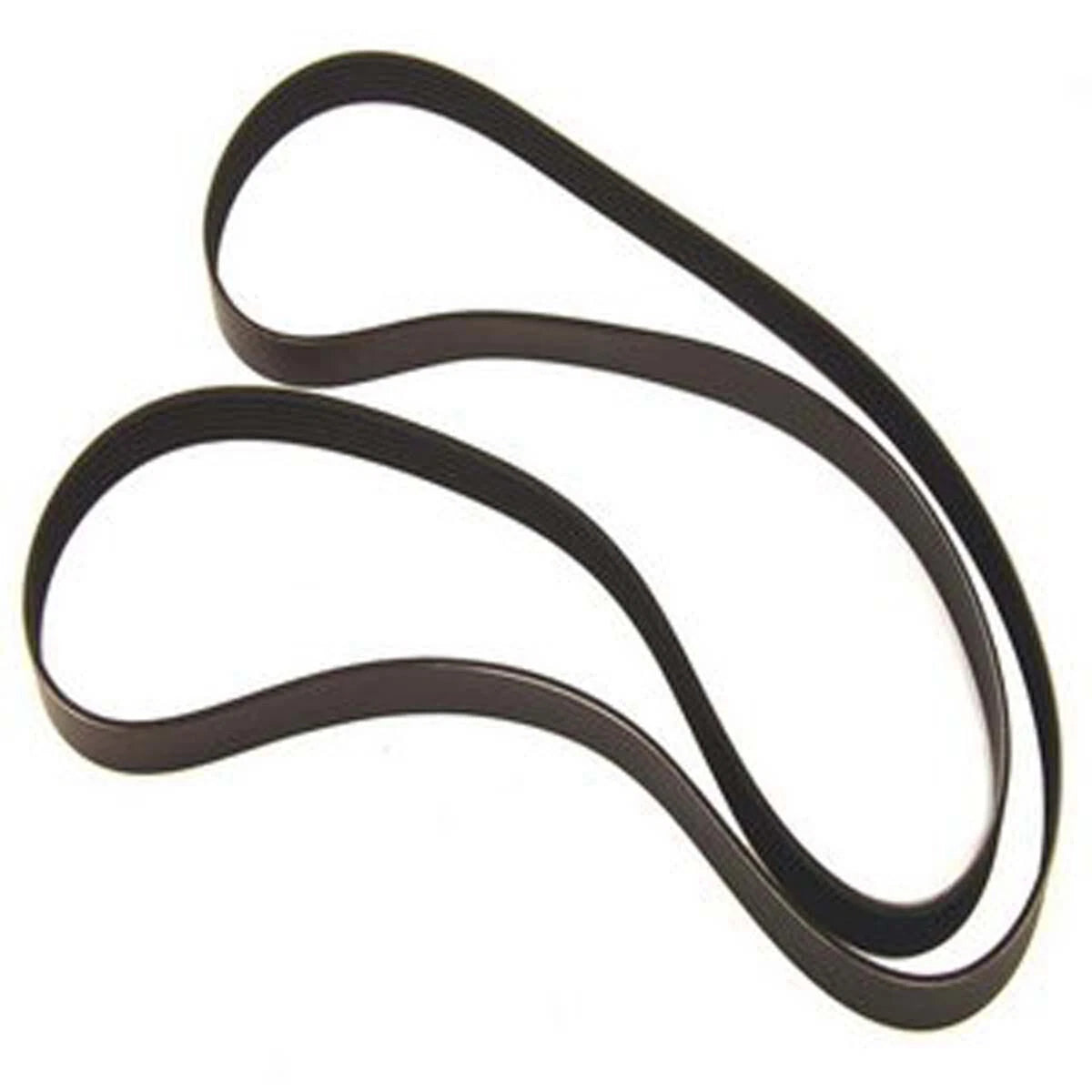 WSM SIERRA Belt for Sierra
