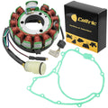 Stator and Gasket Replacement for Honda ATC250SX (1985–1987) Mitsuba