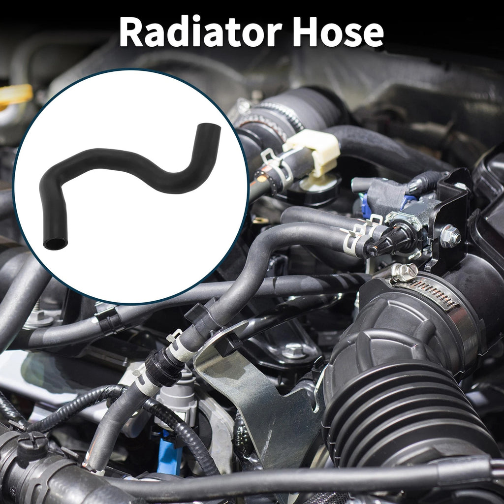 Radiator Hose Lower Replacement for Toyota RAV4 (2020–2023)