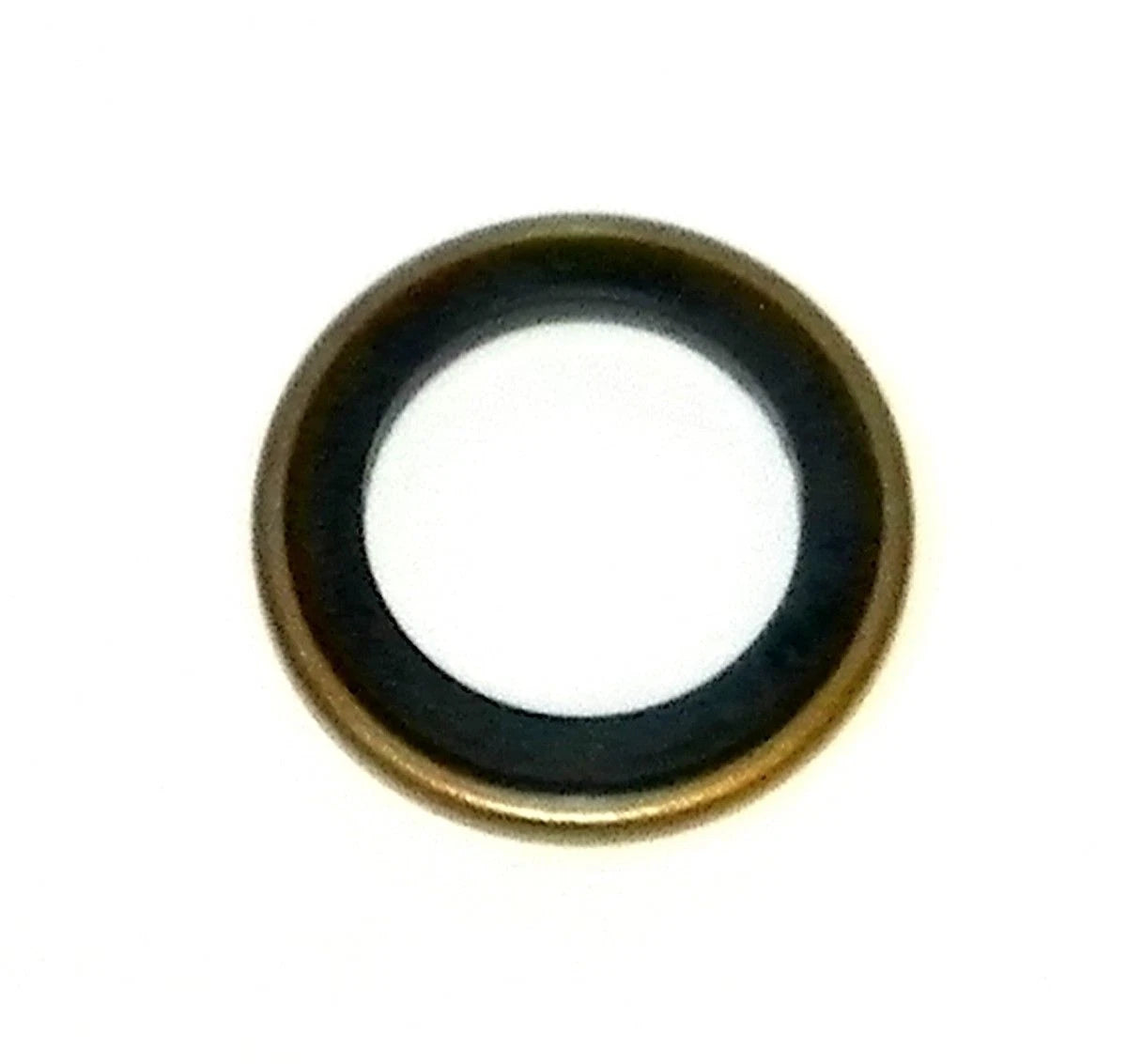 Thermostat Seal for WSM Force 70-150 Hp (1989–1999) 517-34