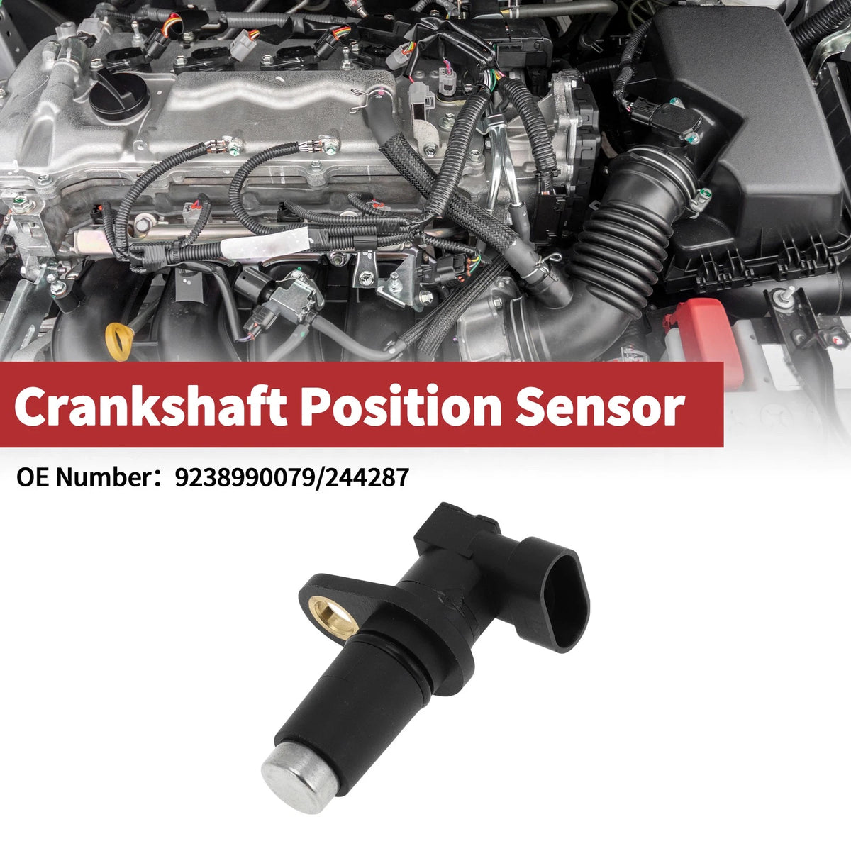 Crankshaft Position Sensor for Doosan Loader (No. 9238990079, 244287)
