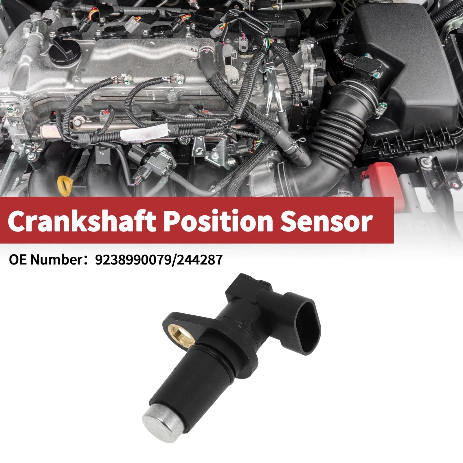 Crankshaft Position Sensor for Doosan Loader (No. 9238990079, 244287)