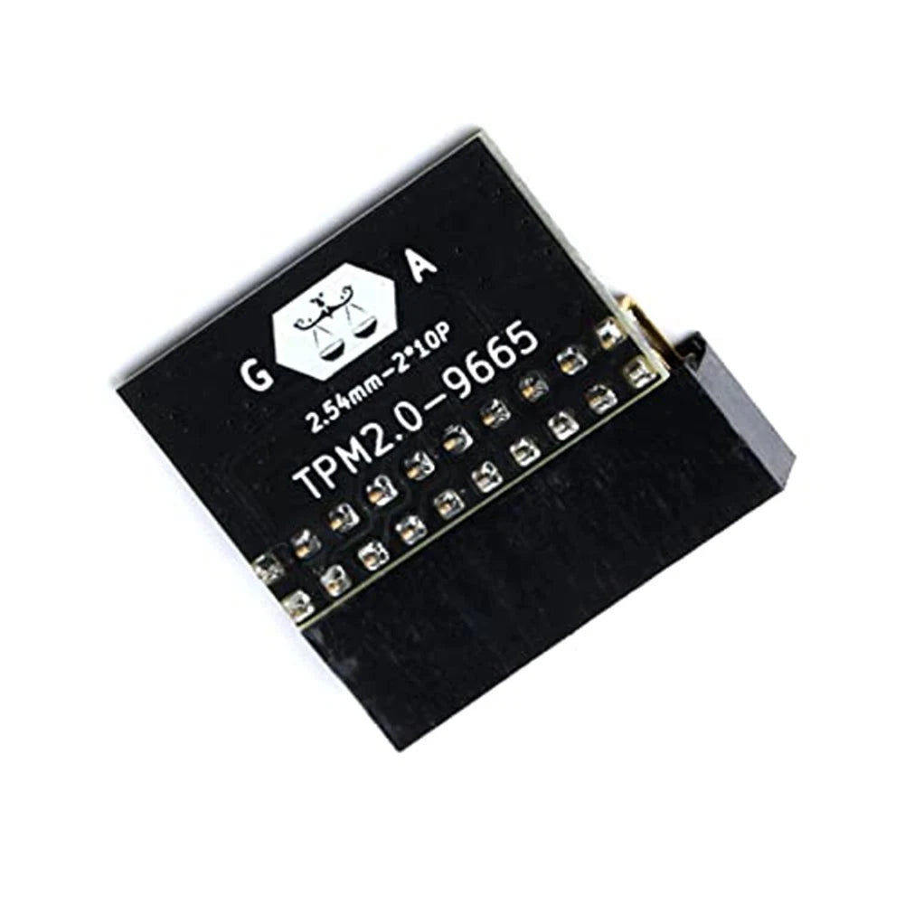 TPM Module for GA Compatible Systems (Win11 Compatible)