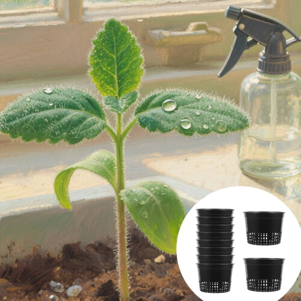 Set of 10 Hydroponics Net Cups for Plants with Drainage Holes - Black Plastic