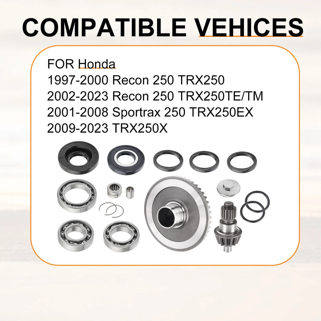 Rear Differential Rebuild Gears Kit for Honda Sportrax 250 TRX250EX (2001–2008)