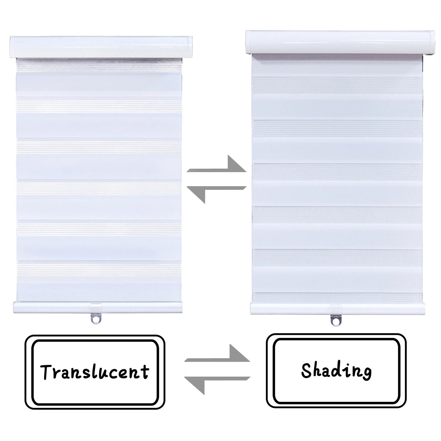 Zebra Roller Blinds for Cordless Dual Layer Shade (56" White)