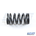 WSM Valve Spring for