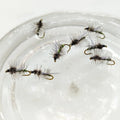 5 Pack Stonefly Dry Fly for Trout (WY1090)