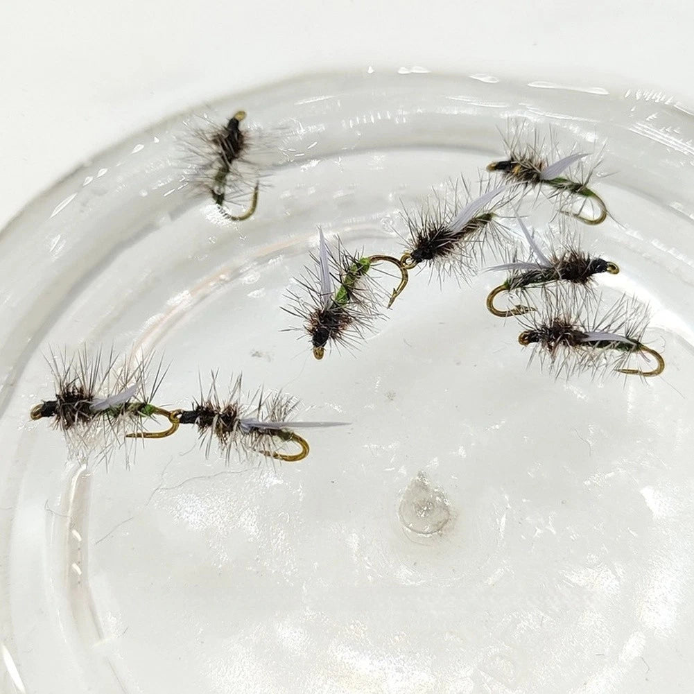 5 Pack Stonefly Dry Fly for Trout (WY1090)