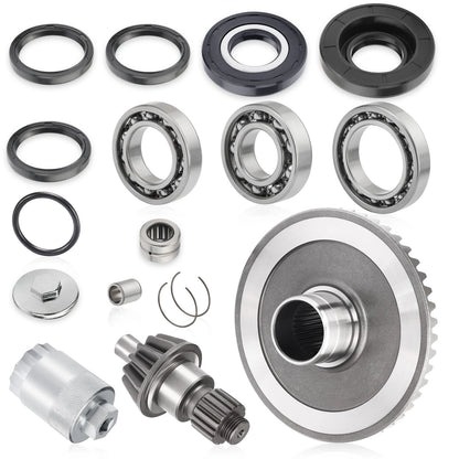 Rear Differential Rebuild Kit for Honda TRX250 (2001–2008)