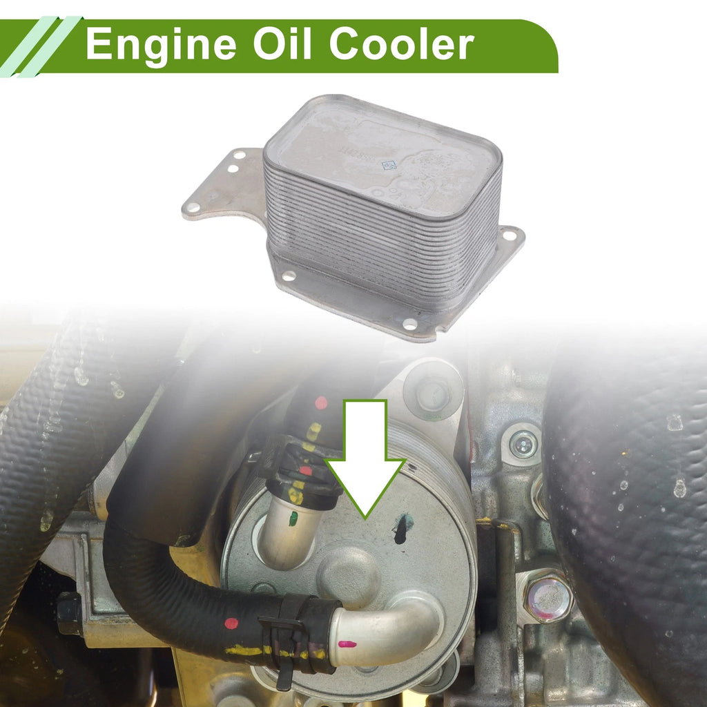 Engine Oil Cooler for BMW 320i xDrive OEM Replacement (2012–2020)