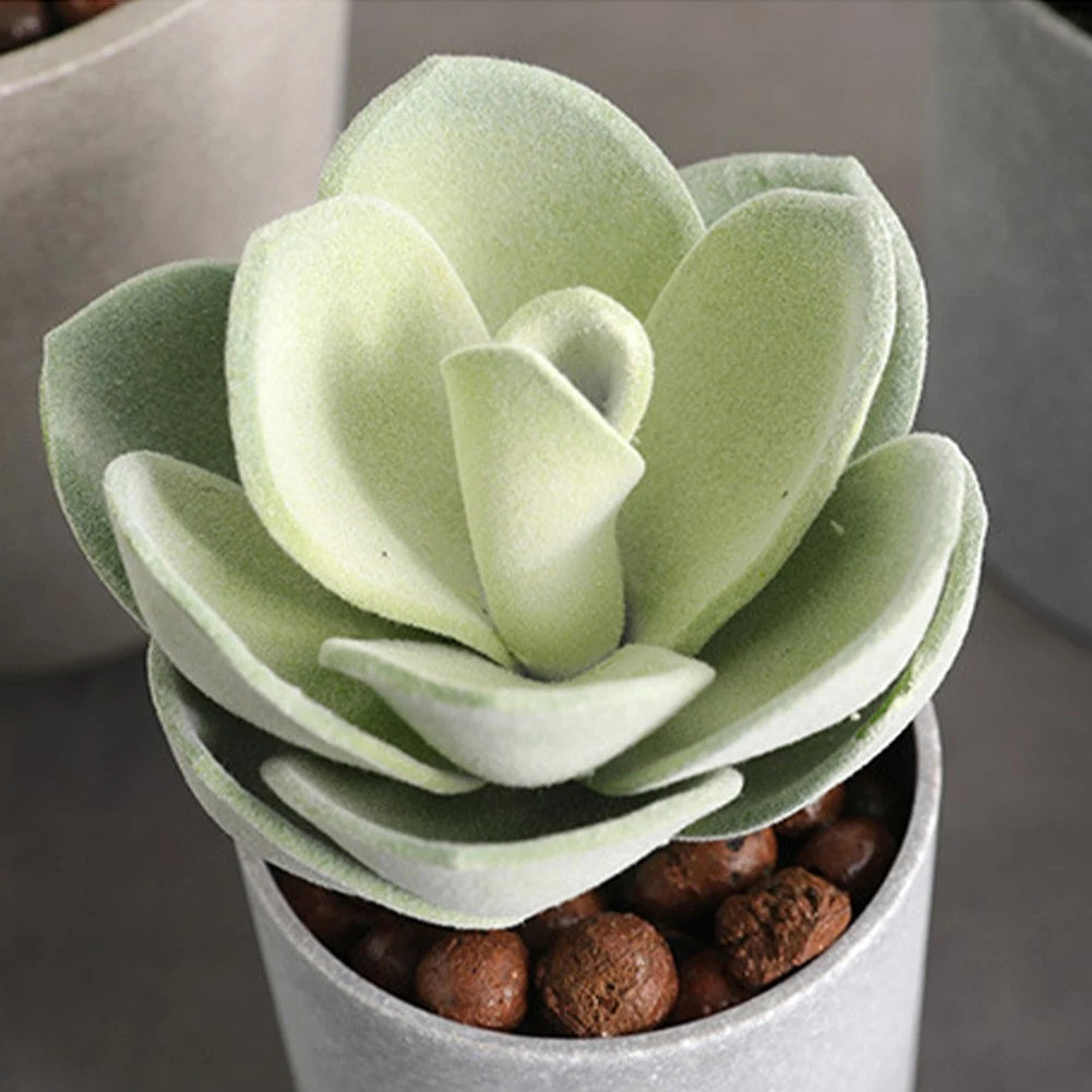 Artificial Succulent 6.3in for Home Office Display