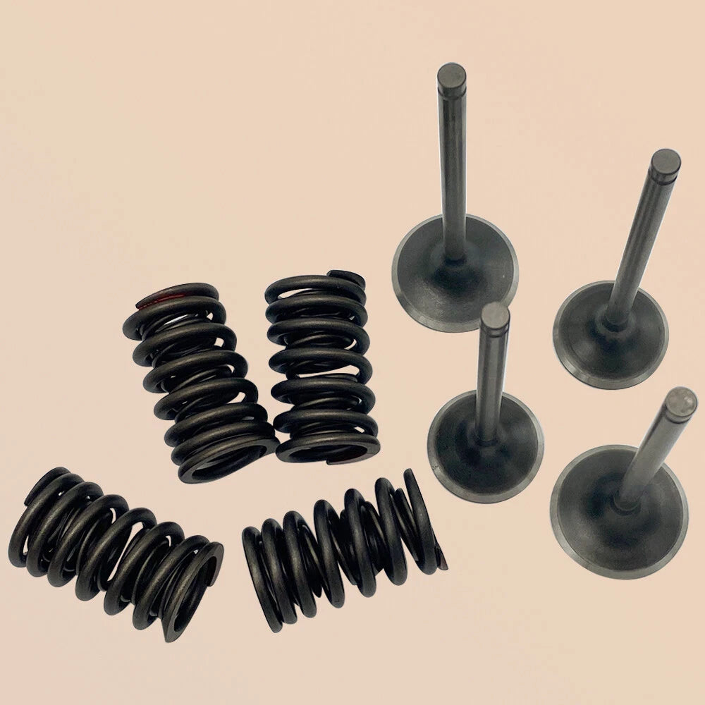 Intake & Exhaust Valve Seals Springs Kit for Honda TRX400EX (2000–2009)