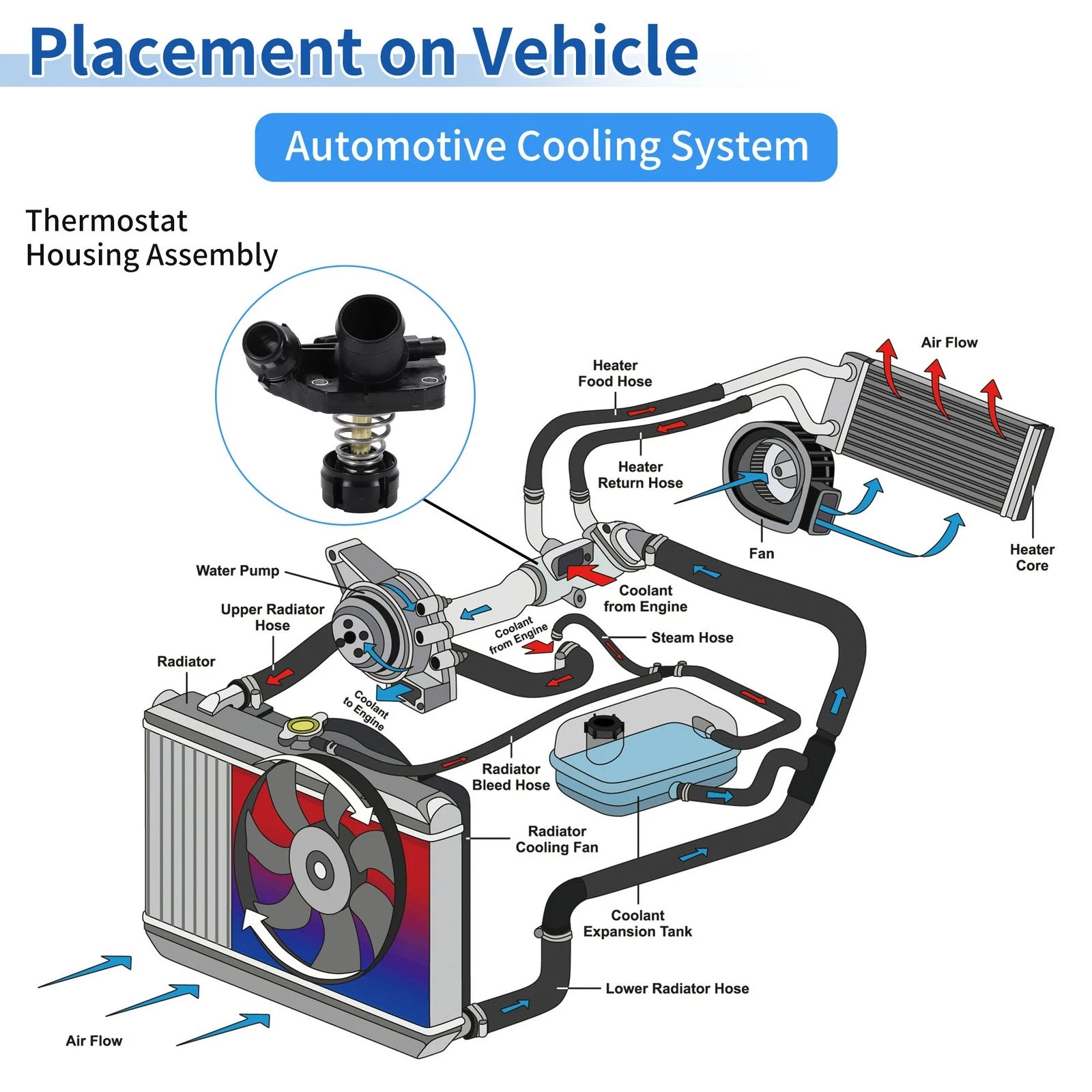 Engine Coolant Thermostat for Mini Cooper (2014–2015) 11518601366