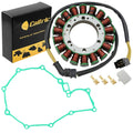 Stator and Gasket Replacement for Honda VT600CD Shadow VLX (1999–2007)