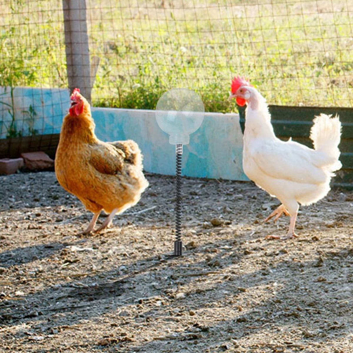 Chicken Feeding Toy for Poultry (Easy Refilling Mechanism)