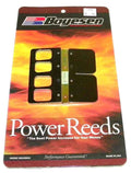Boyesen Reeds for Chrysler/Force/Mercury/Mariner 70-95 HP (1970–1995)