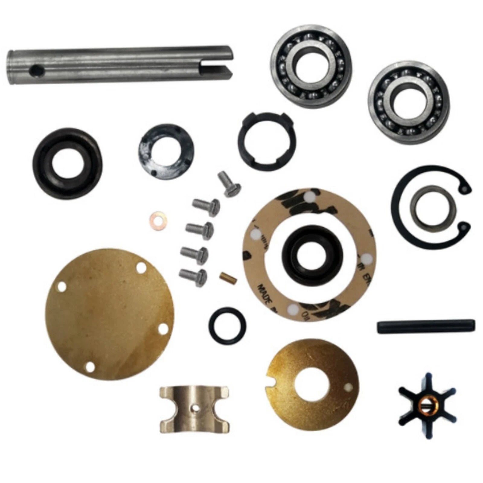 Major Internal Repair Kit 875756 for Johnson Pumps (10-24178-2, 10-24707-01)