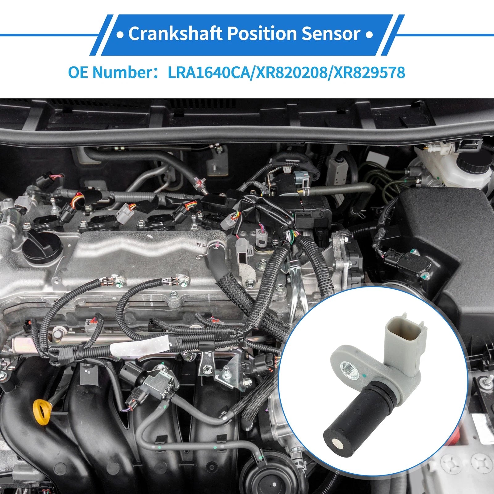 Crankshaft Position Sensor for Jaguar S-Type Base 3.0 (2000–2008) No.LRA1640CA