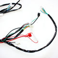 Wiring Harness Loom for 125cc Pit Trail Dirt Bike (Reg Engine)