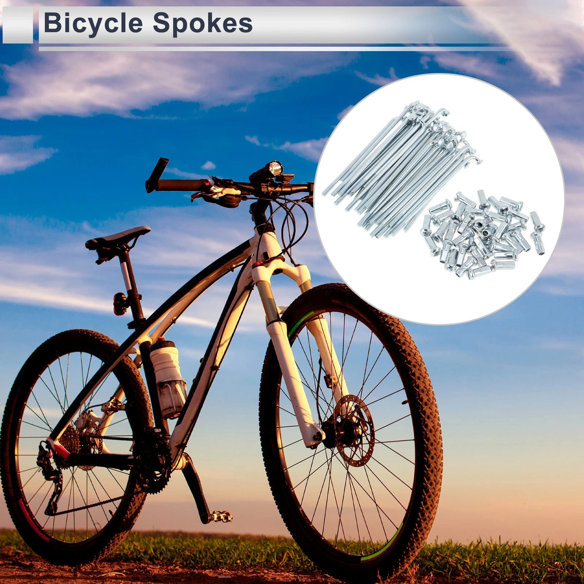 Bicycle Spokes Nipple Set 69mm Carbon Steel for All Models (All Years)