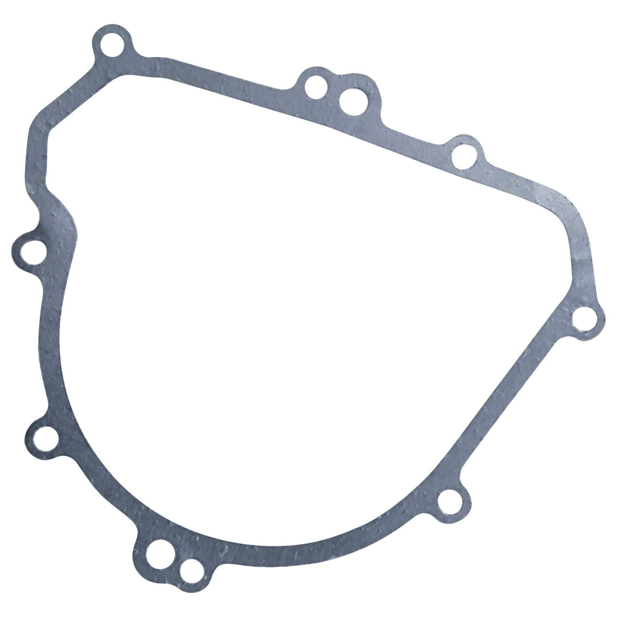 Stator Cover Gasket for Kawasaki KLX300R KLX 300R (1997–2007)