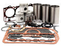 Engine Overhaul Kit for Ford 3000 3600 Tractors (Compatible)