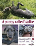 Puppy Called Wolfie for Free-Will Teaching (2010–2023)