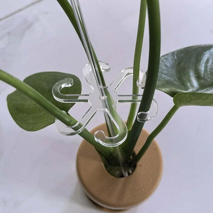 5pcs Clear Plant Support Stakes for Healthy Stem and Leaf Garden