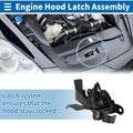 Hood Latch Assembly Replacement for Toyota Fortuner 2016–2022